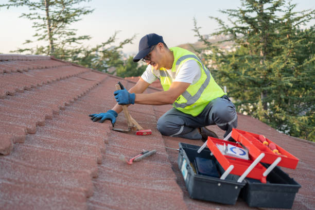 Best Roof Replacement Cost  in Red Lake, MN